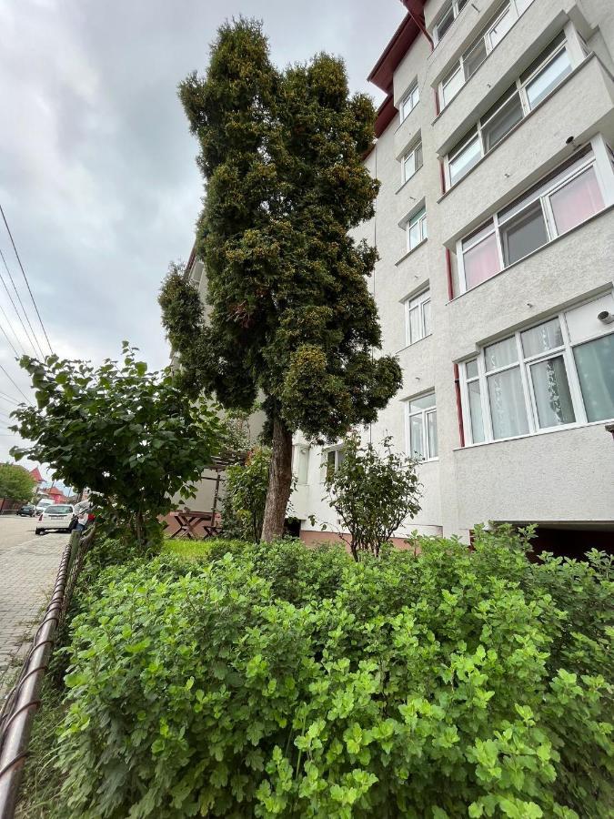 Lala'S Sweet Nest Apartment Calimanesti Exterior photo