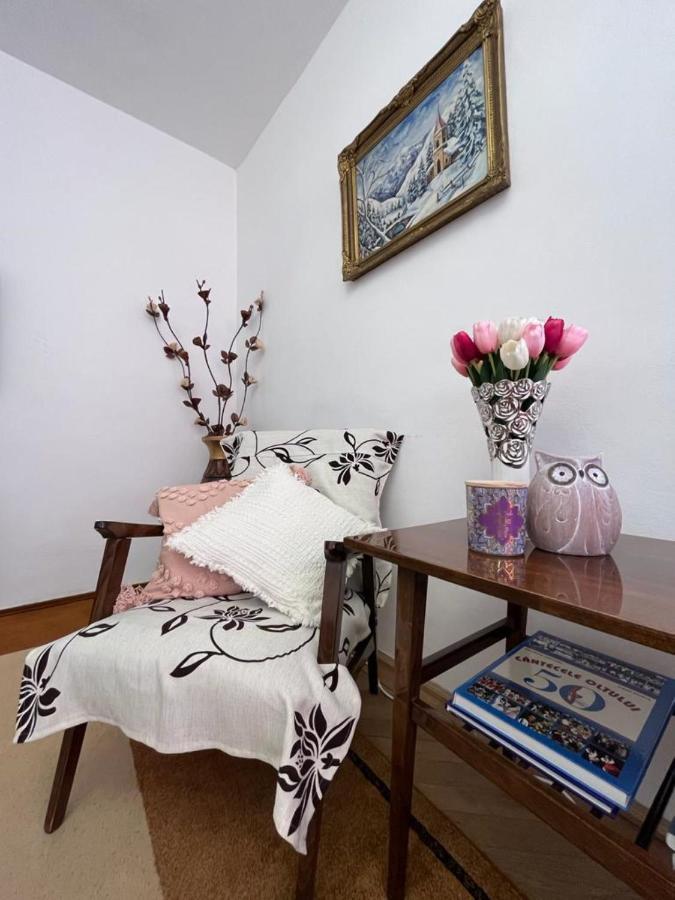 Lala'S Sweet Nest Apartment Calimanesti Exterior photo
